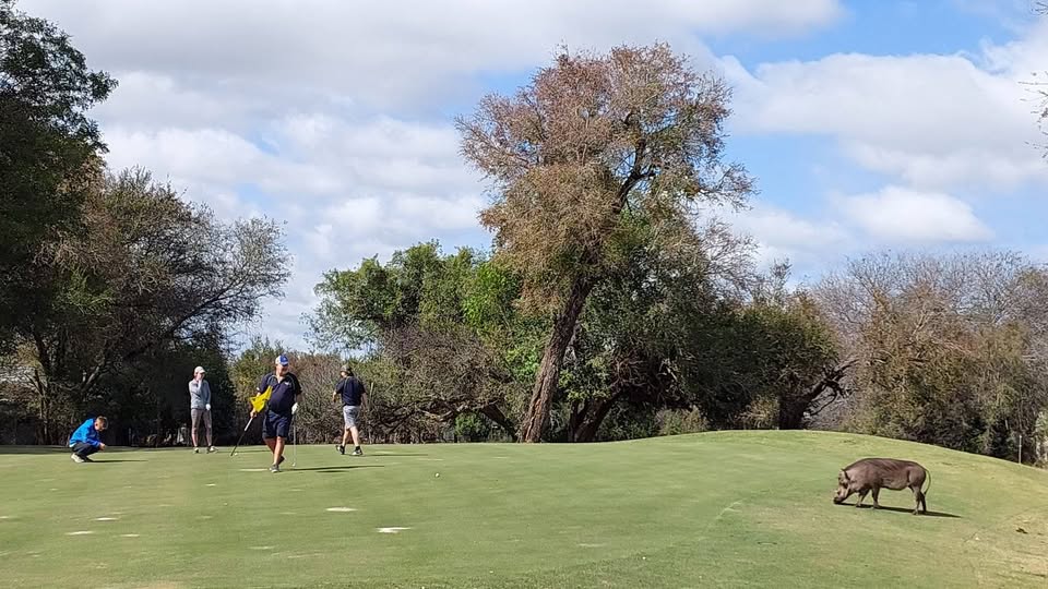 Golfers enjoying a round on the course